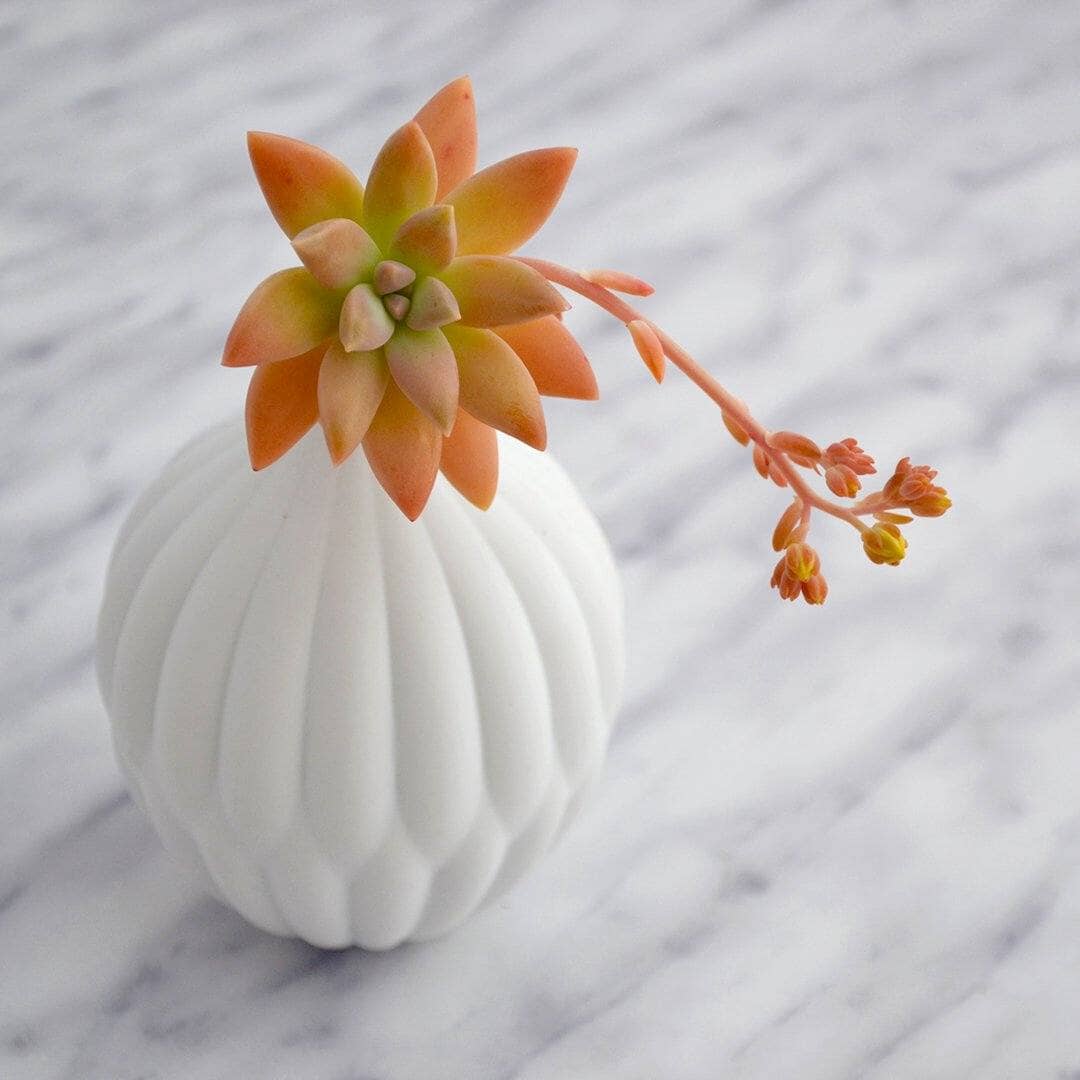Maia Ming Petite Textured Porcelain Vase - Image 4