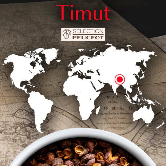 Peugeot Saveurs Classic & Premium Spices - Image 7