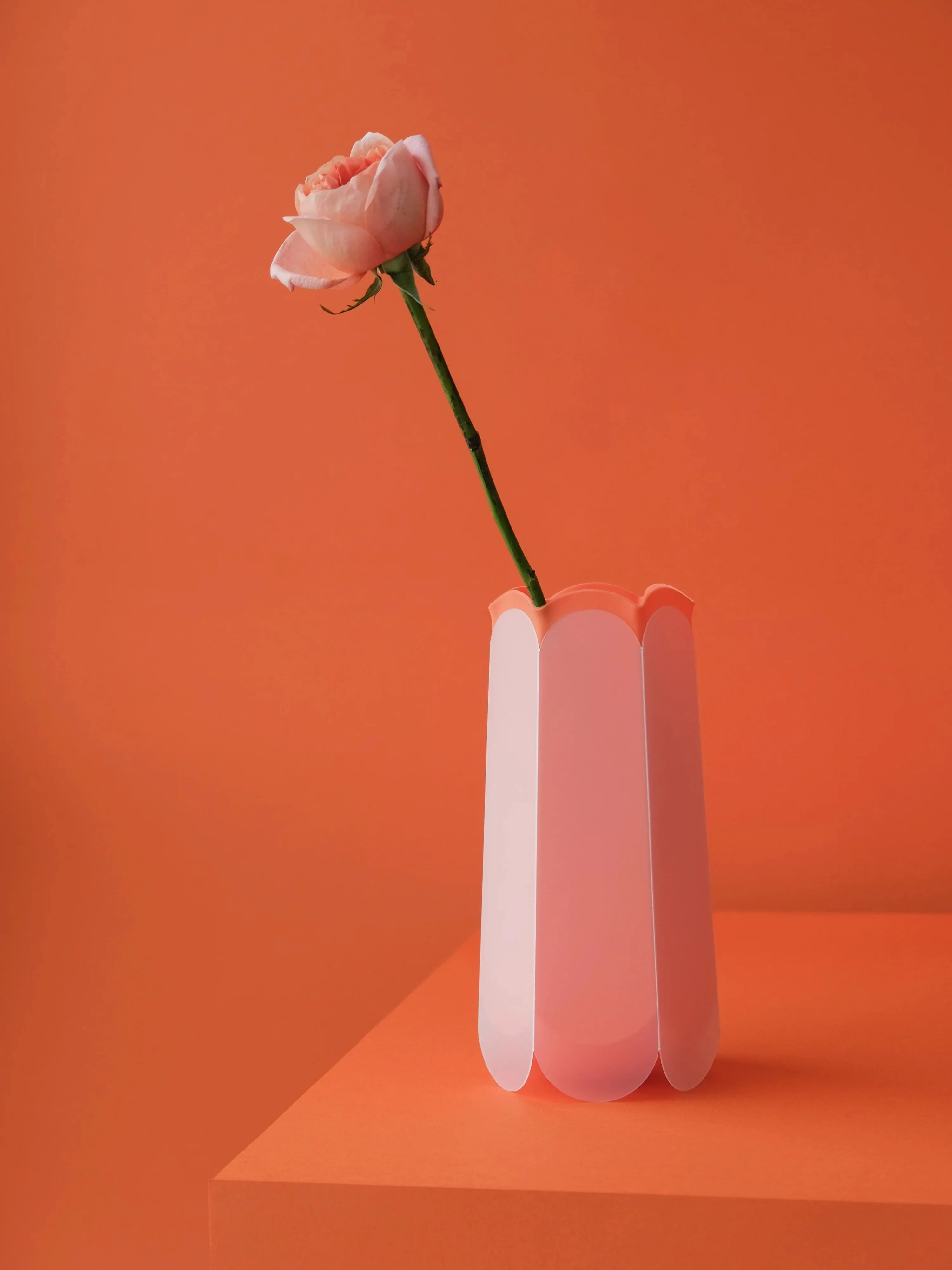POTR Letterbox Vase - Image 4