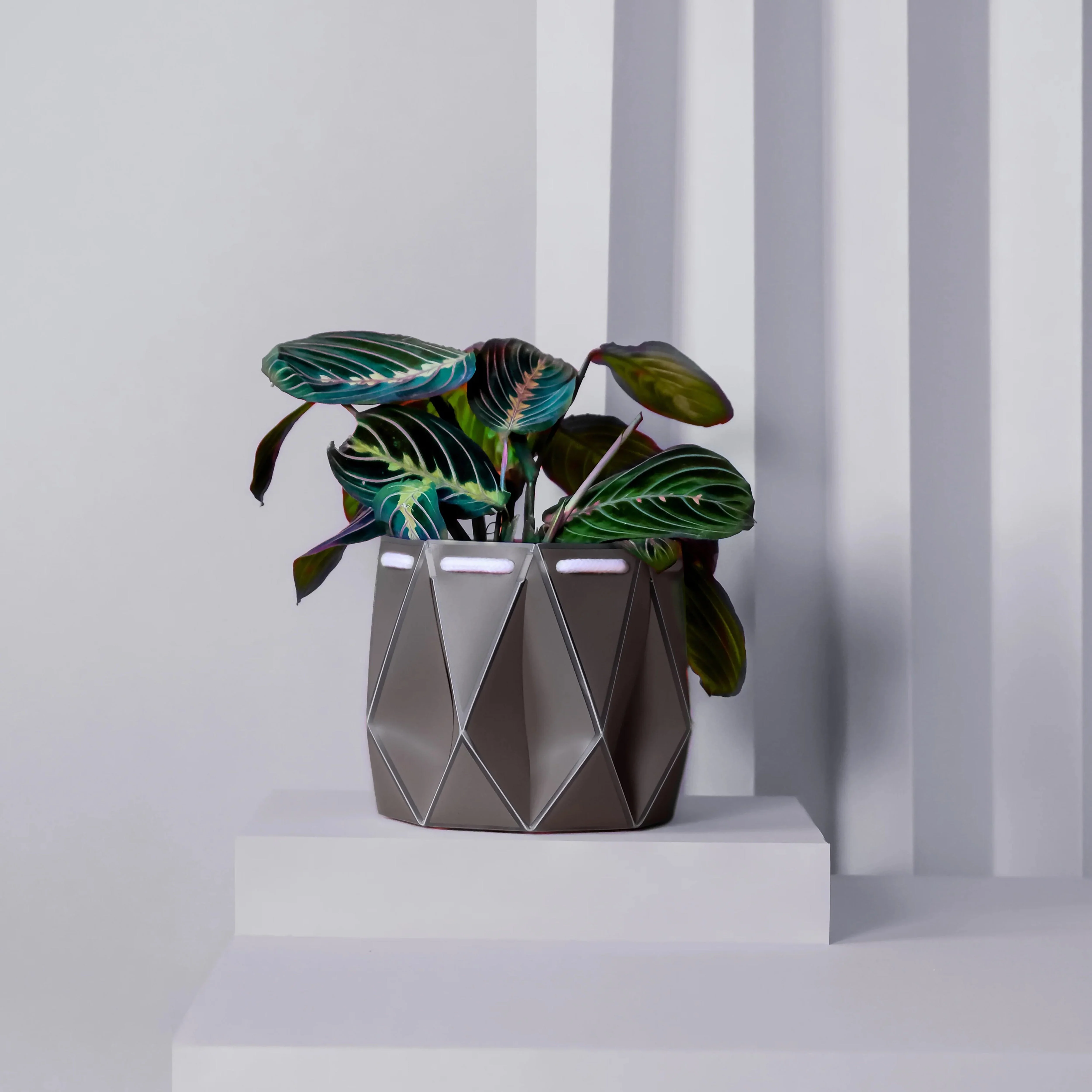 POTR Self-Watering 5.9" Diameter Pot In Slate Grey