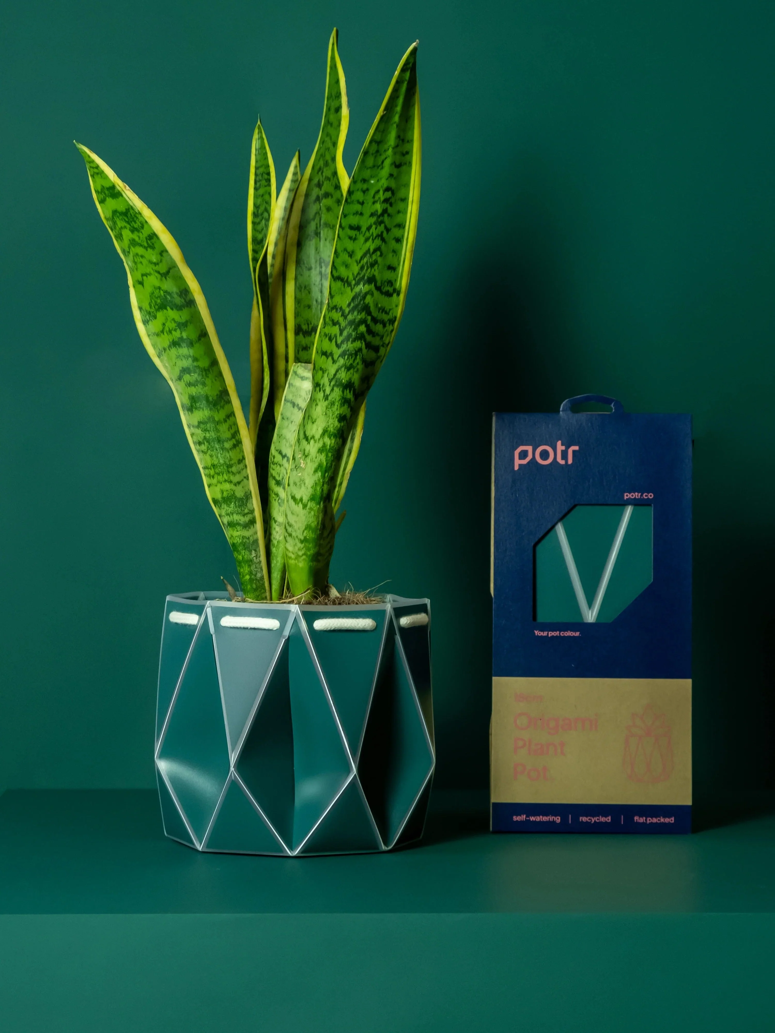 POTR Self-Watering 7" Diameter Pot - Image 11